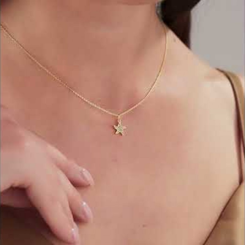 Minimalist Tasarım Zirkon Taşlı Deniz Yıldızı Gümüş Kaplama Kolye, Kararmaz, Şık ve Zarif Tasarım Minimalist Tasarım Zirkon Taşlı Deniz Yıldızı Gümüş Kaplama Kolye, Kararmaz, Şık ve Zarif Tasarım
