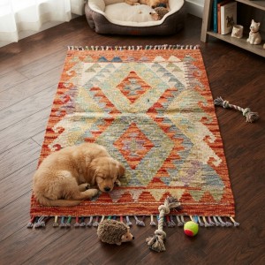 Sevimli Dostlarımız İçin Katıksız Doğallık: Kök Boya %100 Yün El Dokuma Kilim (91 x 61 cm)