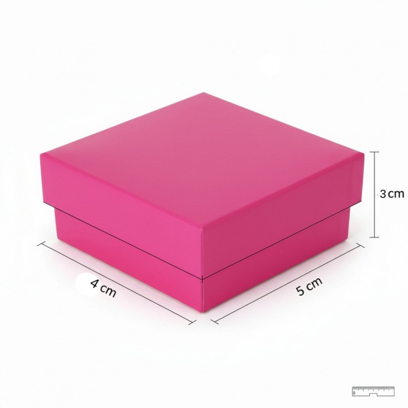 Takı Kutusu ile Birlikete Gümüş Renk Fiyonk Tasarım Zirkon Taşlı Küpe