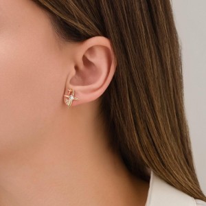 Kuzey Yıldızı Taşlı Tasarım Çelik Gold Küpe |  Kararmaz Antialerjik Küpe 